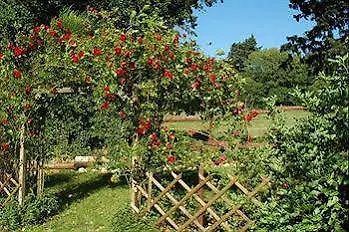 Logis Hotel Le Blason De Provence France