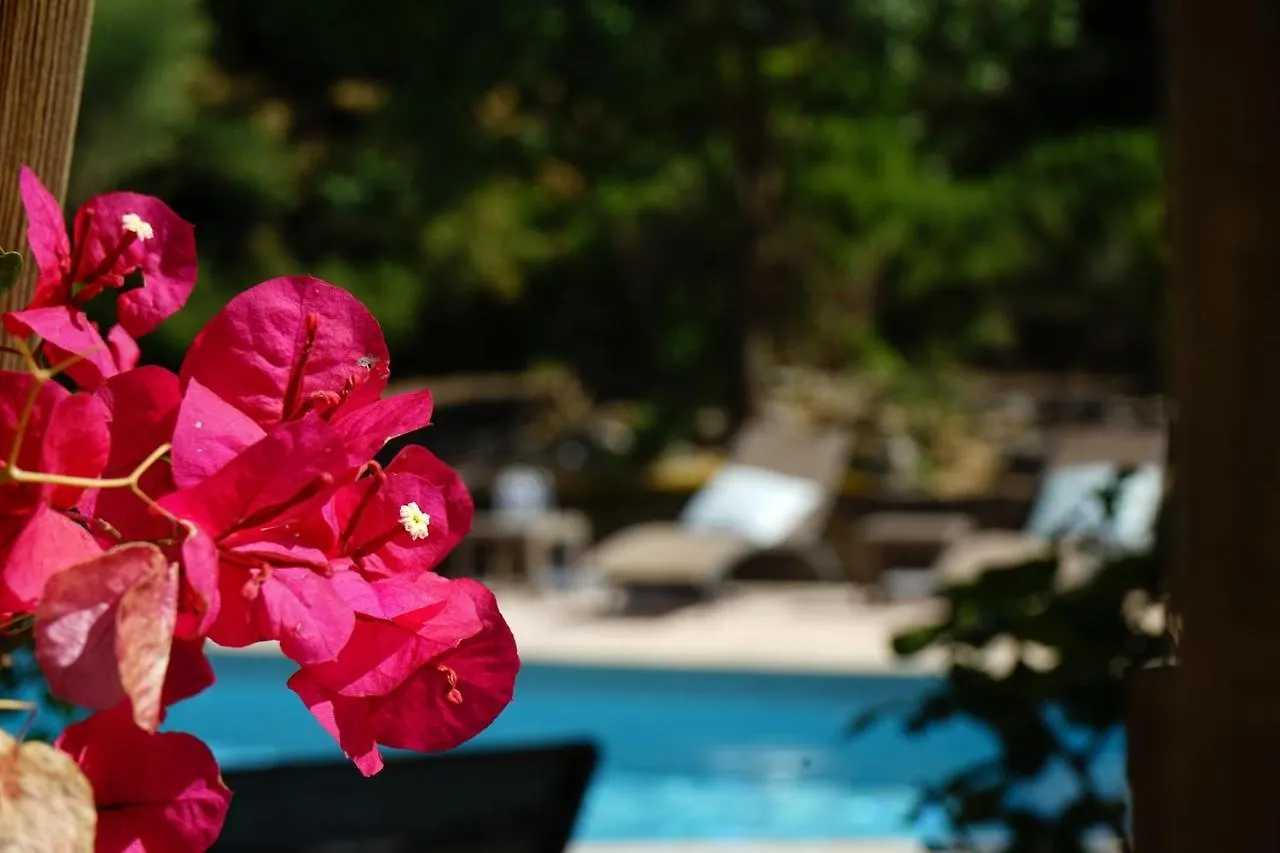 Hotel Le Blason de Provence Monteux